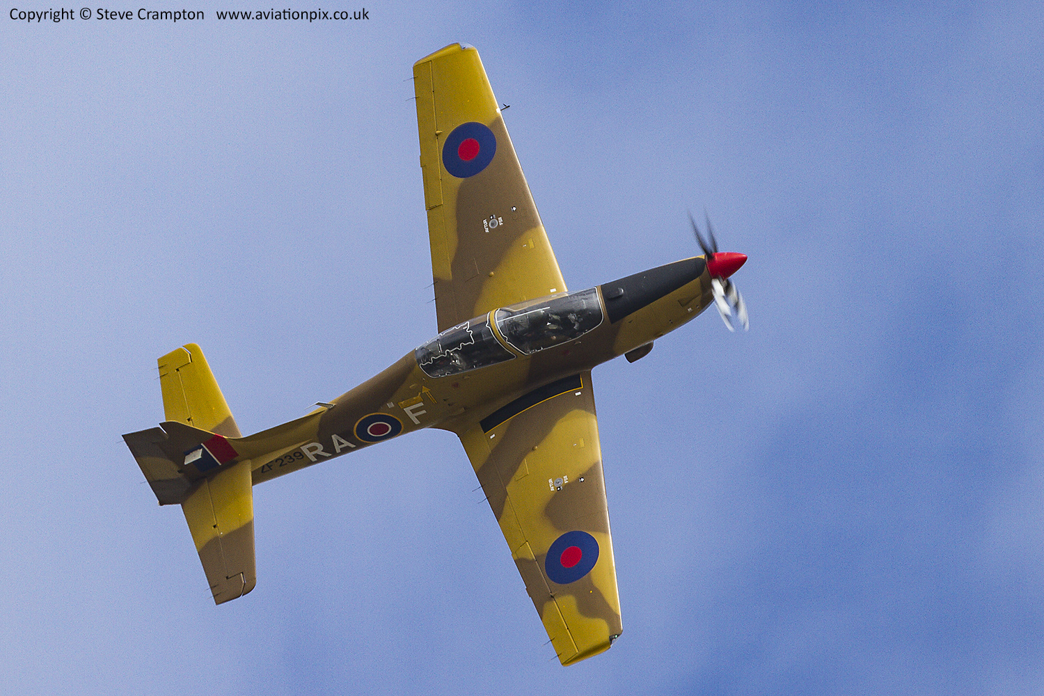 Shorts Tucano
