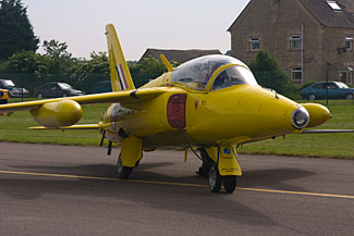 Foland Gnat