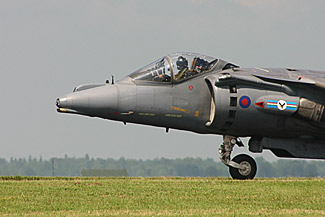 Harrier
