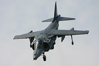Harrier