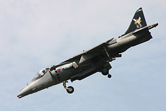 Harrier