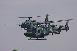 The Blue Eagles