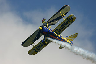 Utterly Butterly Barnstormers