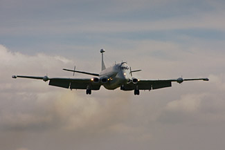 Nimrod
