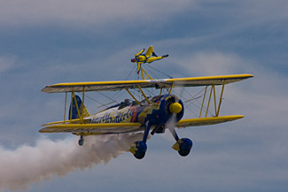 Utterly Butterly Barnstormers
