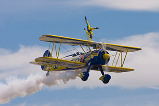 Utterly Butterly Barnstormers
