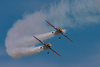 Red Bull Matadors