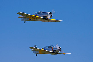 Harvard pair