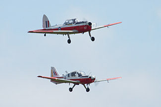 Chipmunk and Bulldog