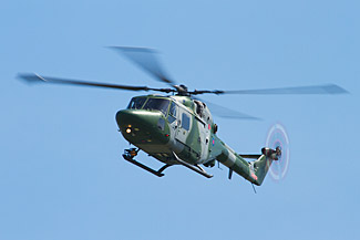 Lynx