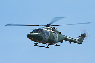 Lynx