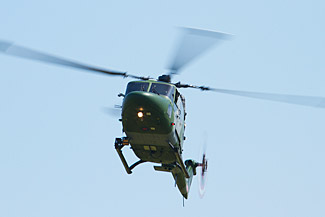 Lynx
