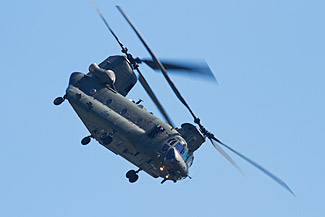 Chinook