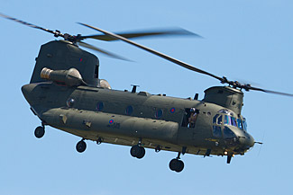 Chinook
