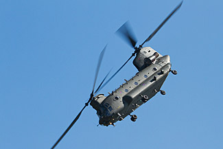 Chinook