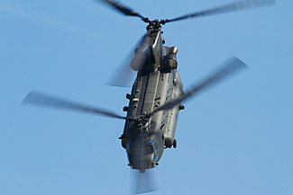 Chinook