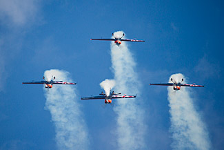 The Blades