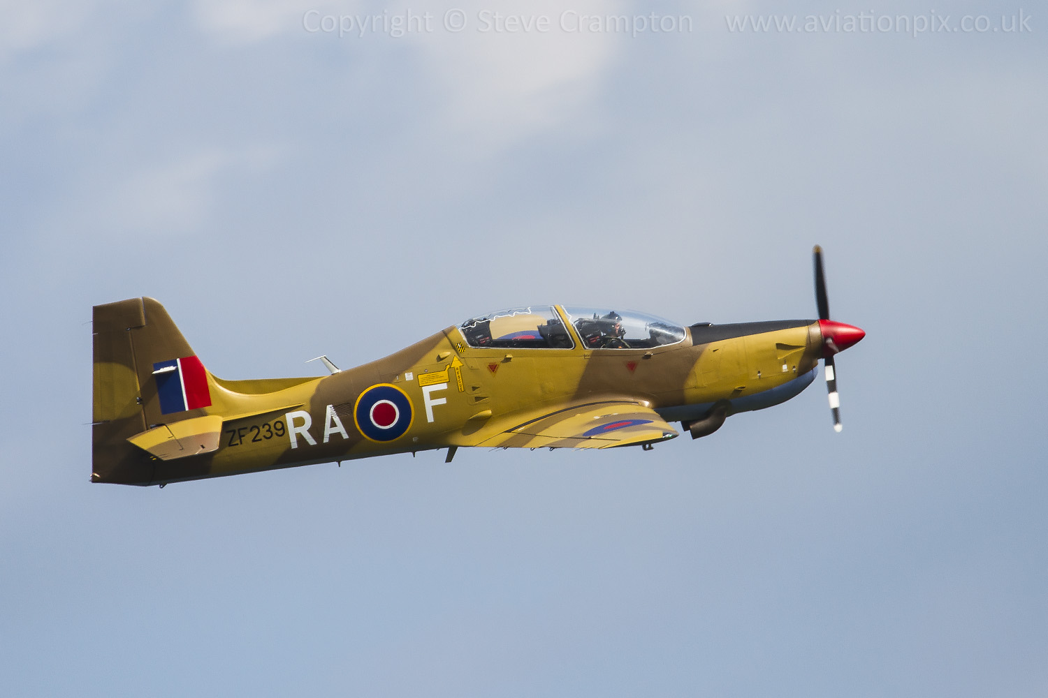 Shorts Tucano