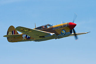 Curtis P-40F Warhawk