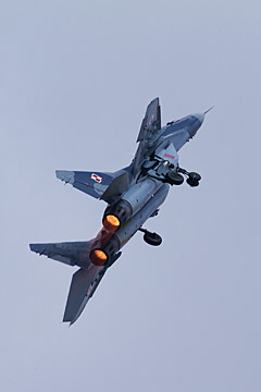 Polish AF Mig 29