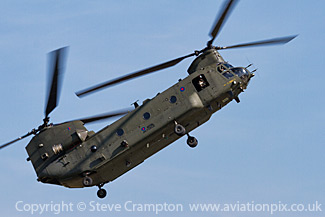 Chinook