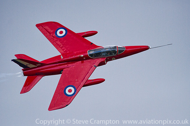 Foland Gnat