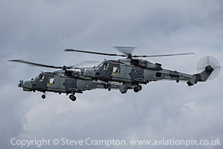 Royal Navy Black Cats
