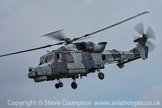 Royal Navy Black Cats