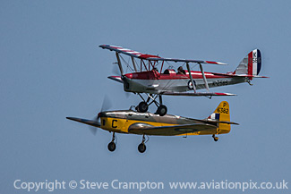 Tiger moth and Magister