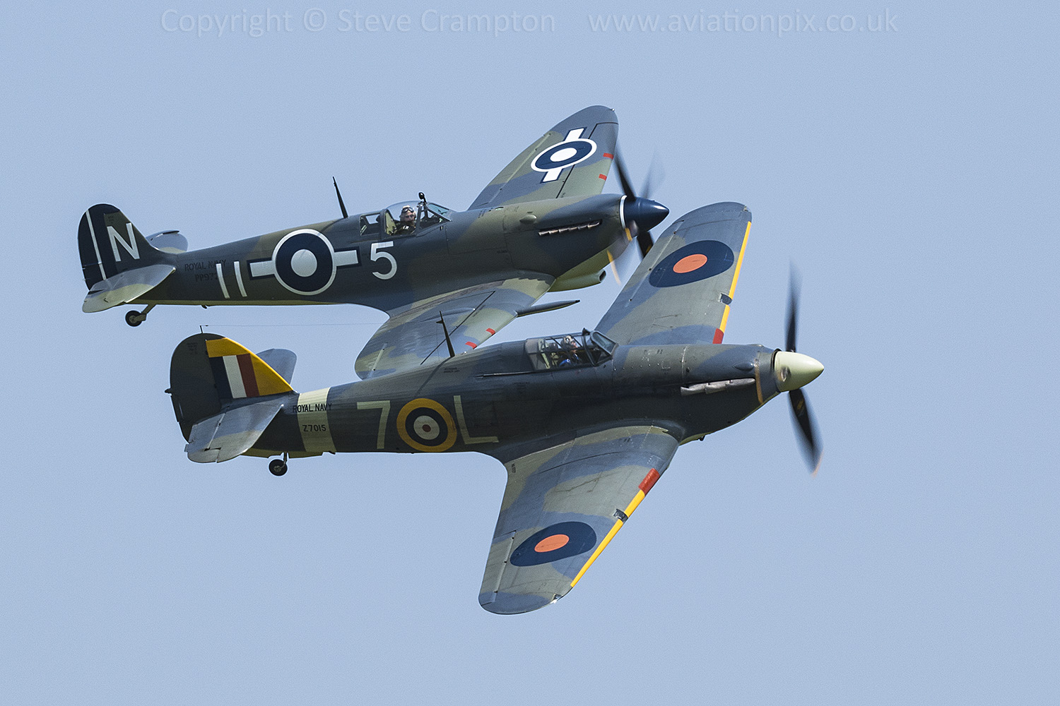 Sea Hurricane and Seafire