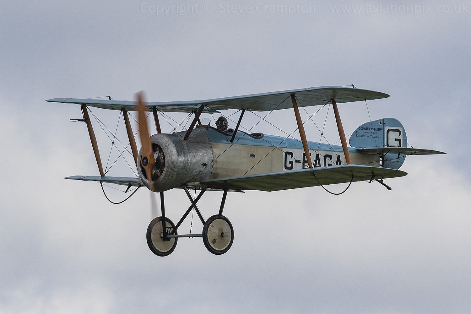 Sopwith Dove