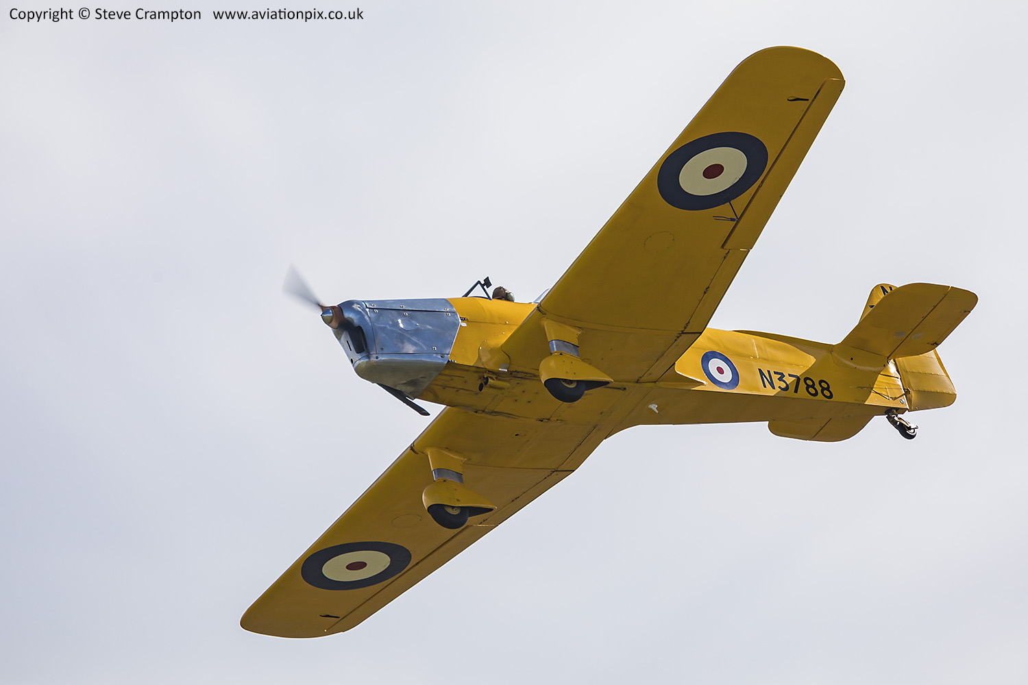 Miles Magister