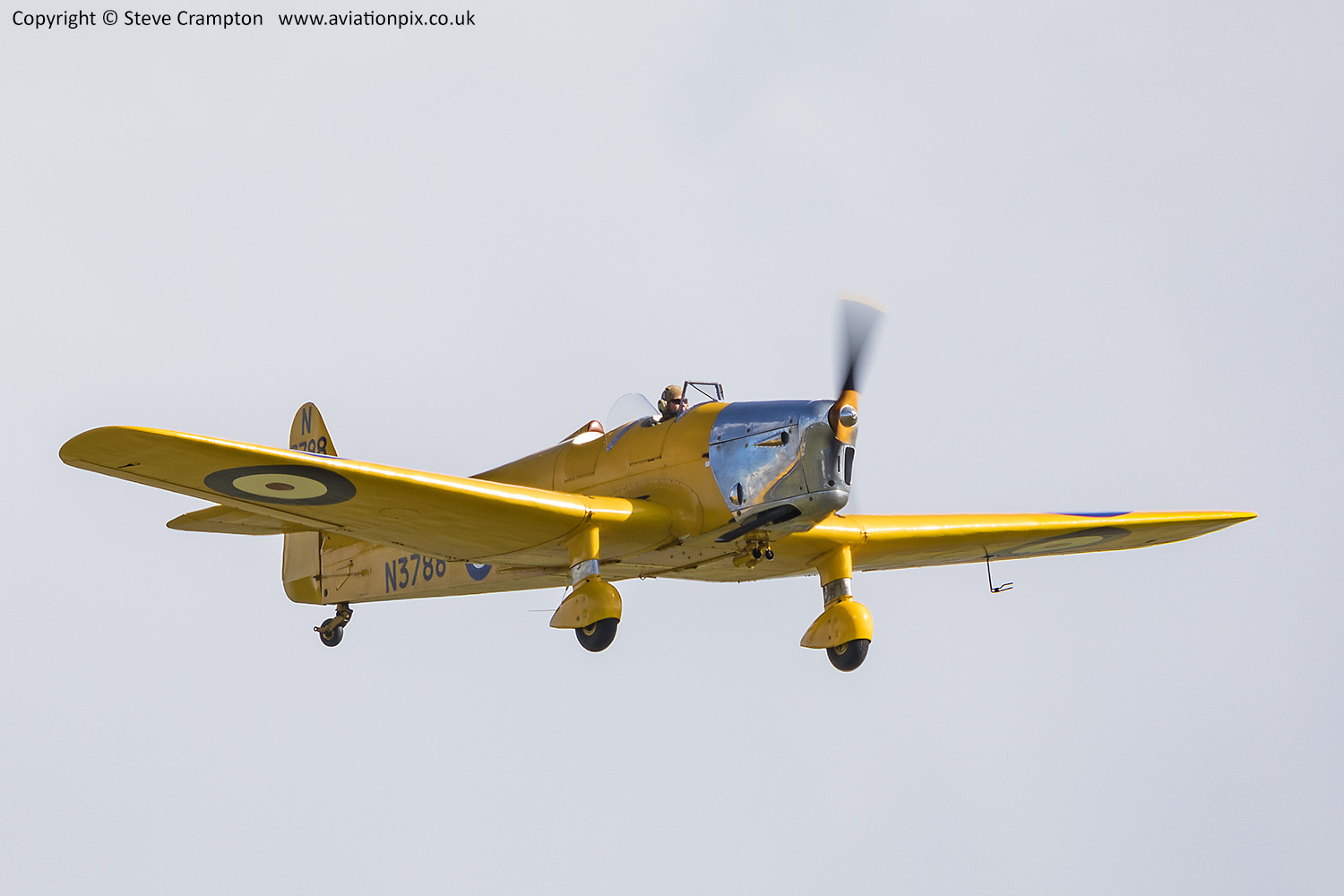 Miles Magister
