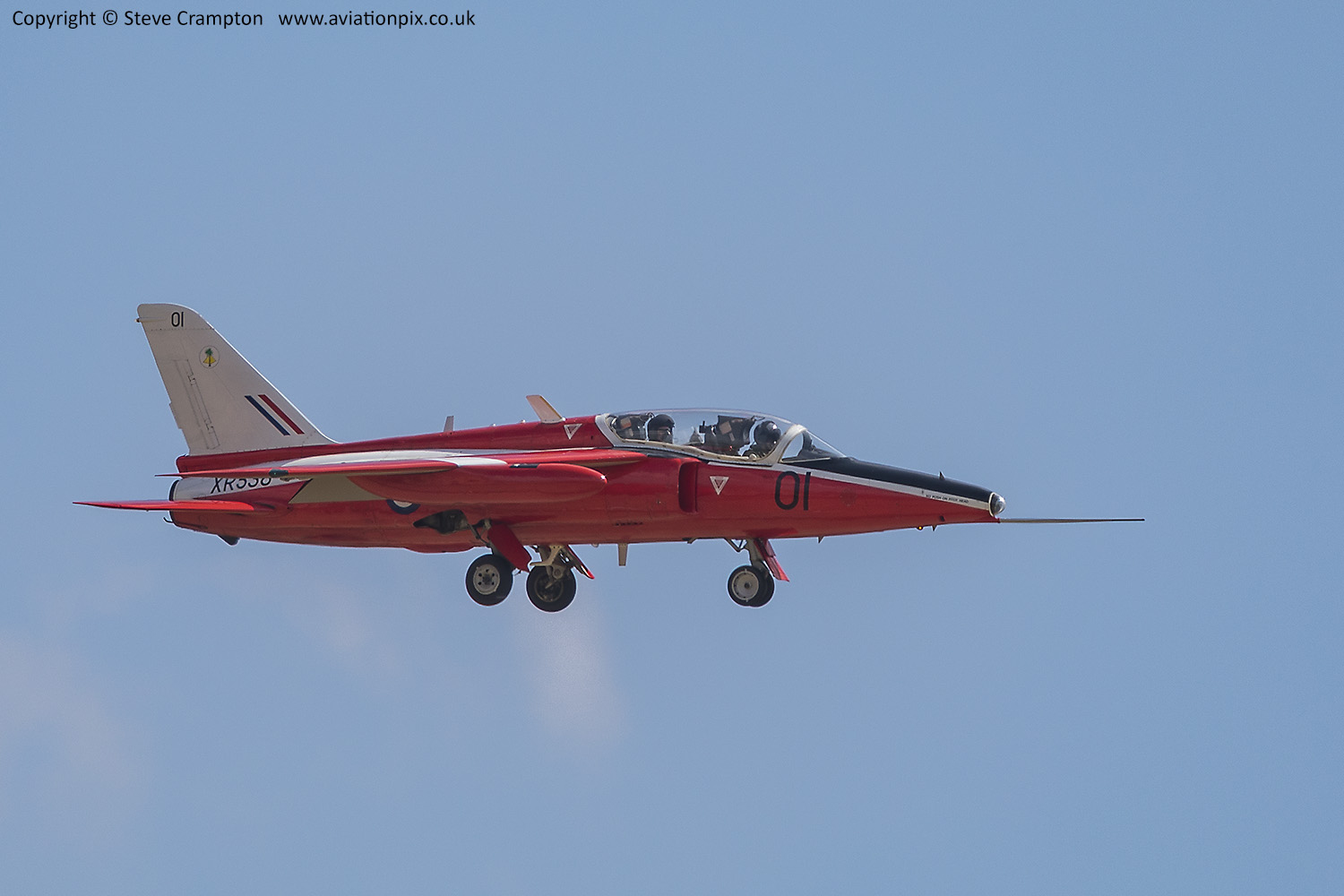 Foland Gnat