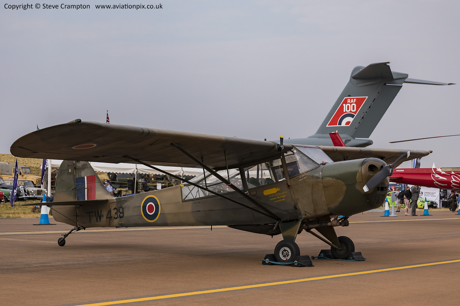 Auster AOP