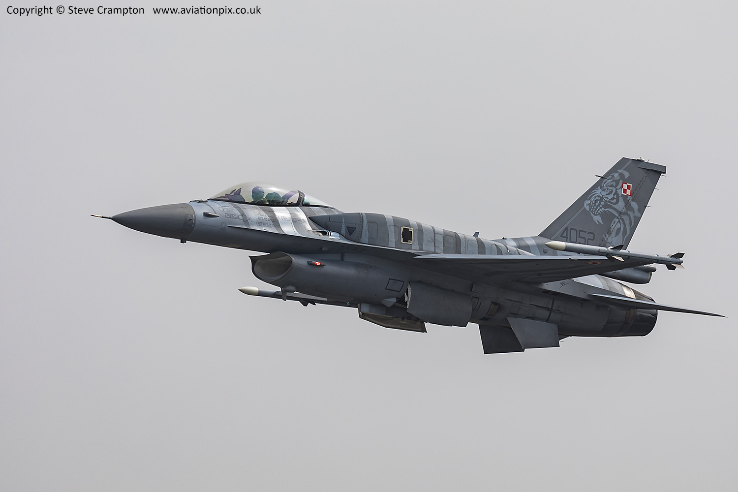 F-16 Fighting Falcon (Polish AF)