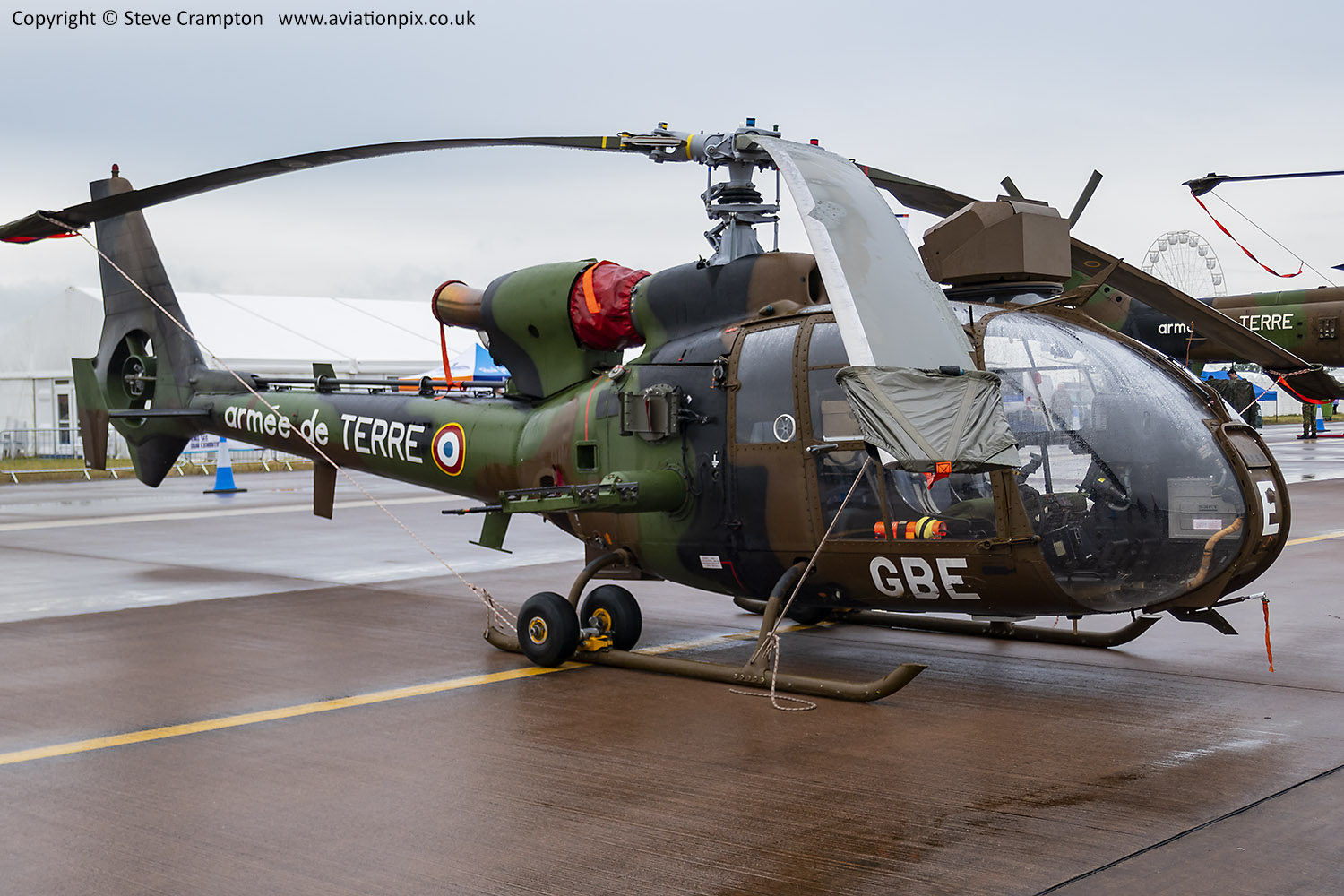 Gazelle