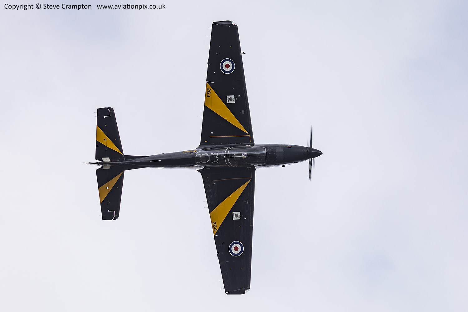 Shorts Tucano