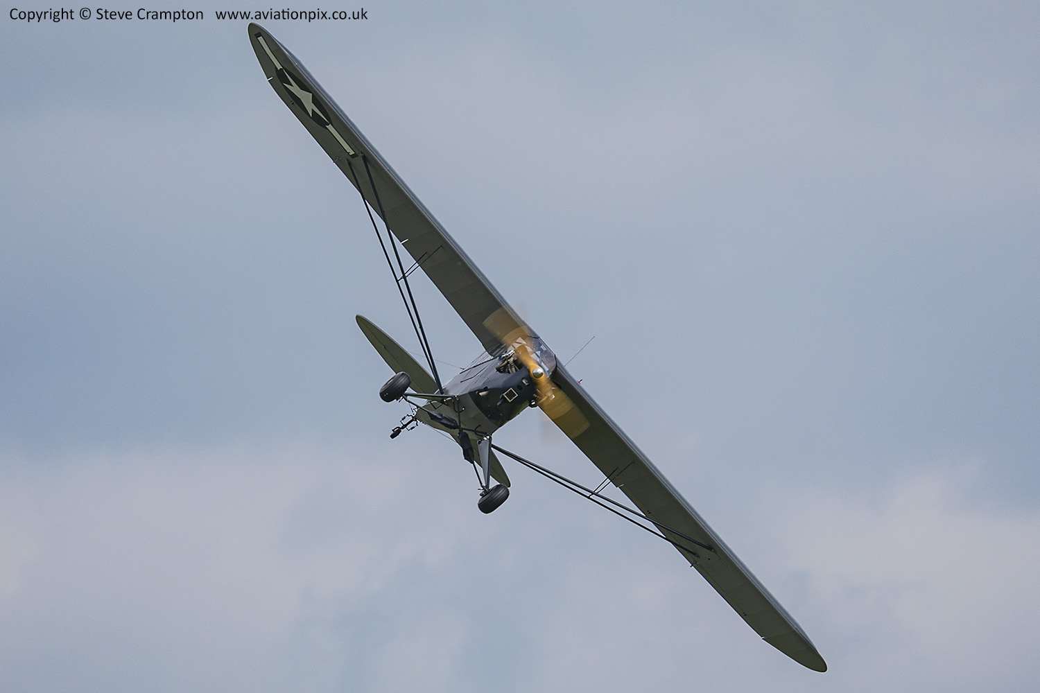 Piper Grasshopper