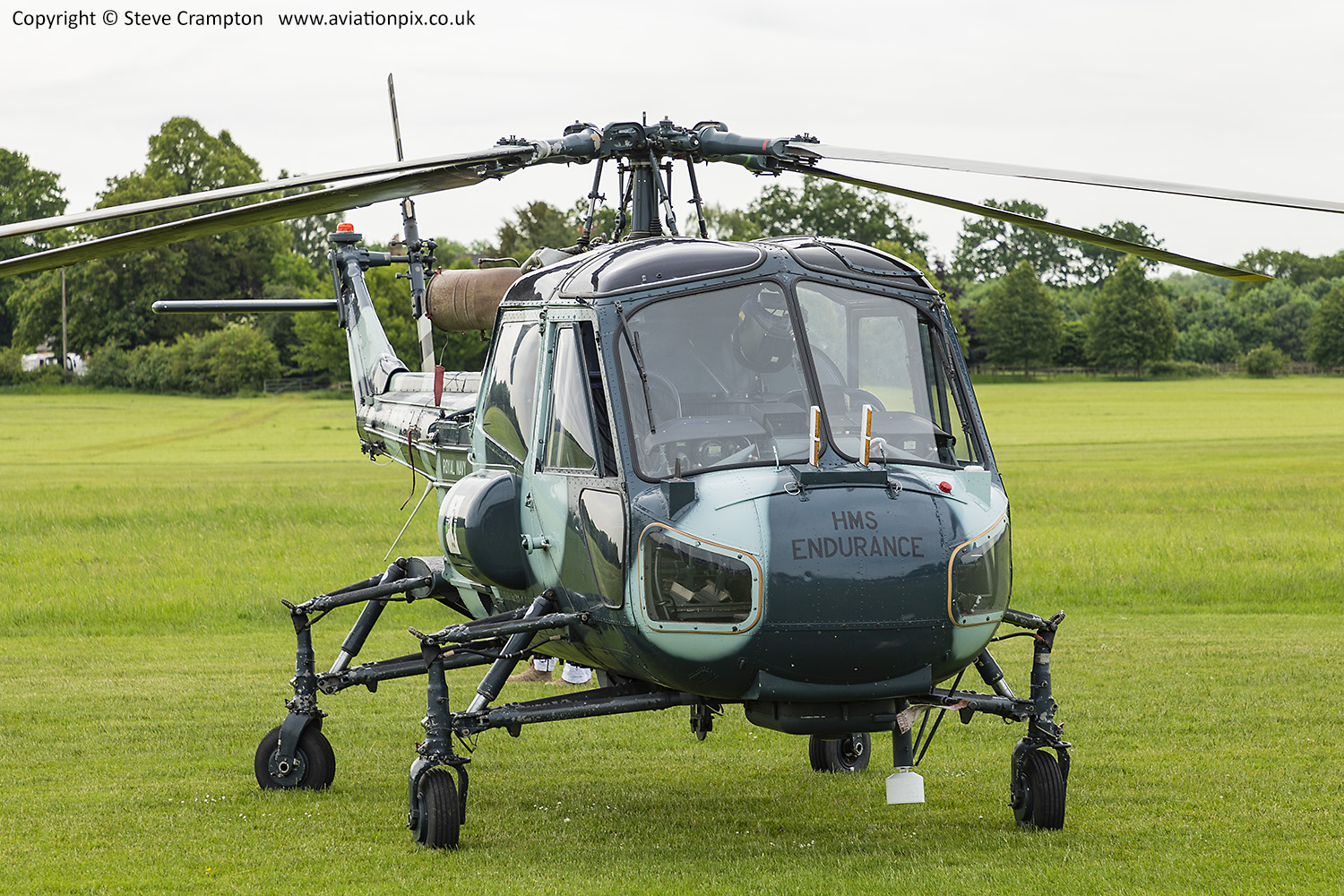 Westland Wasp