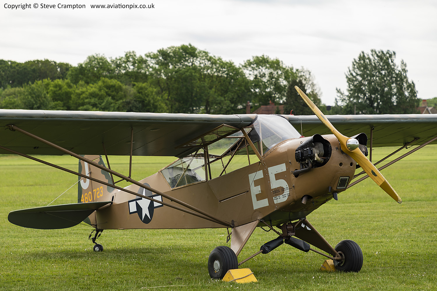 Piper Grasshopper