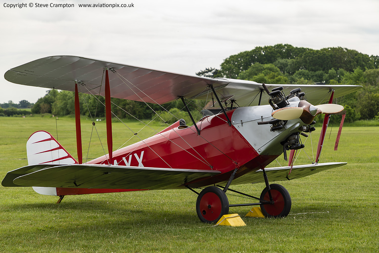 Southern Martlet