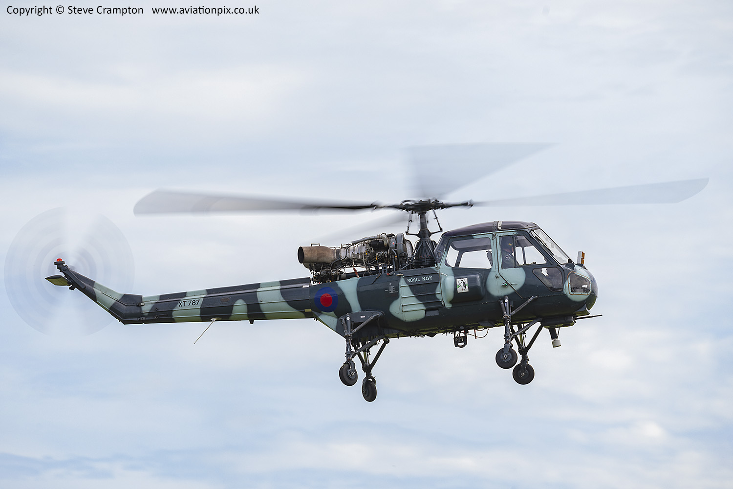 Westland Wasp