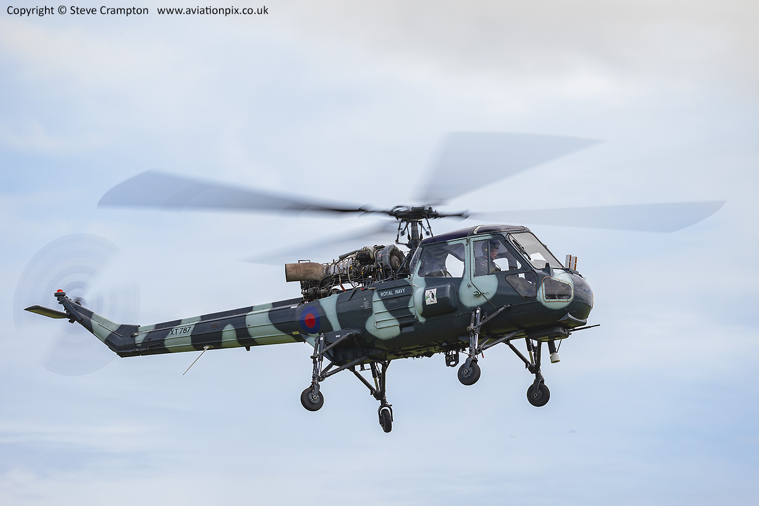 Westland Wasp