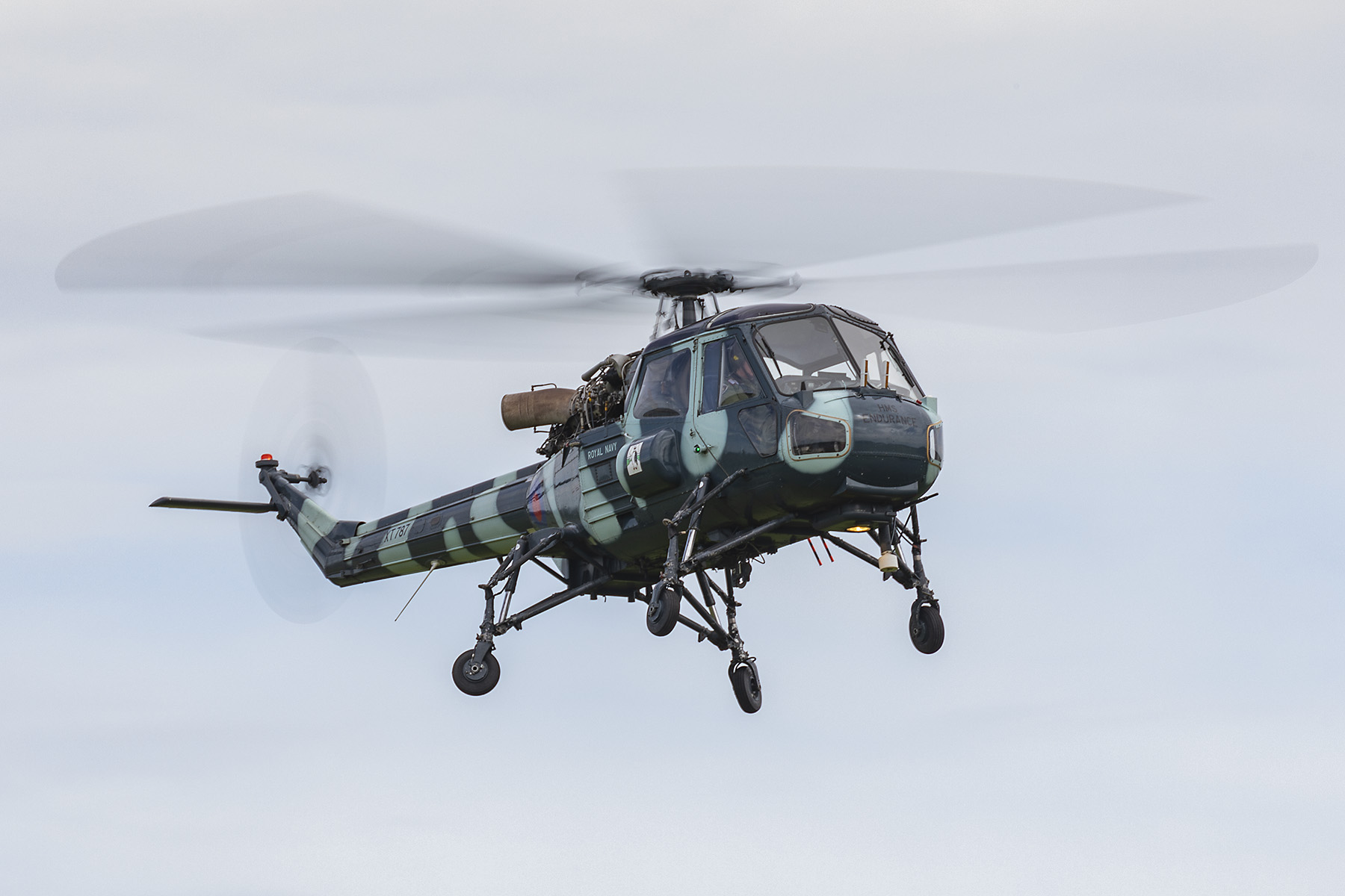 Westland Wasp