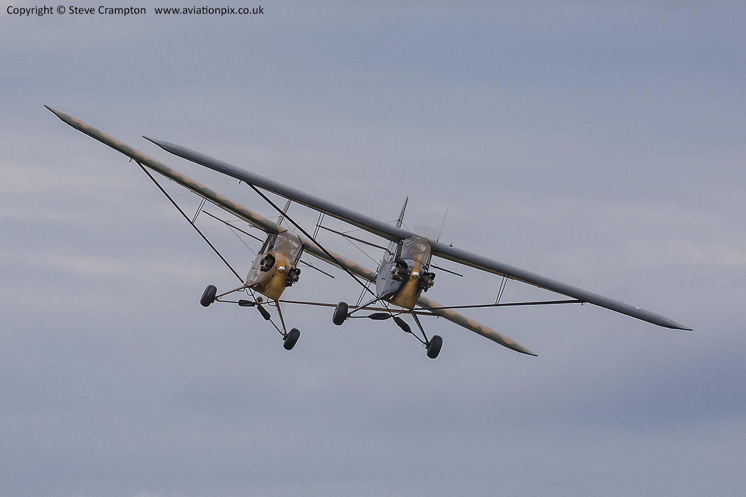 Piper Grasshopper