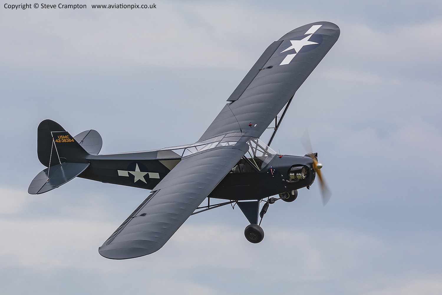 Piper Grasshopper