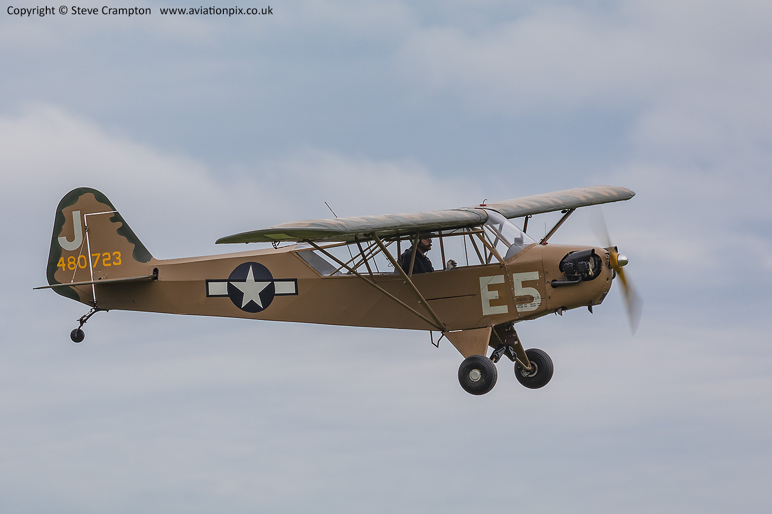 Piper Grasshopper