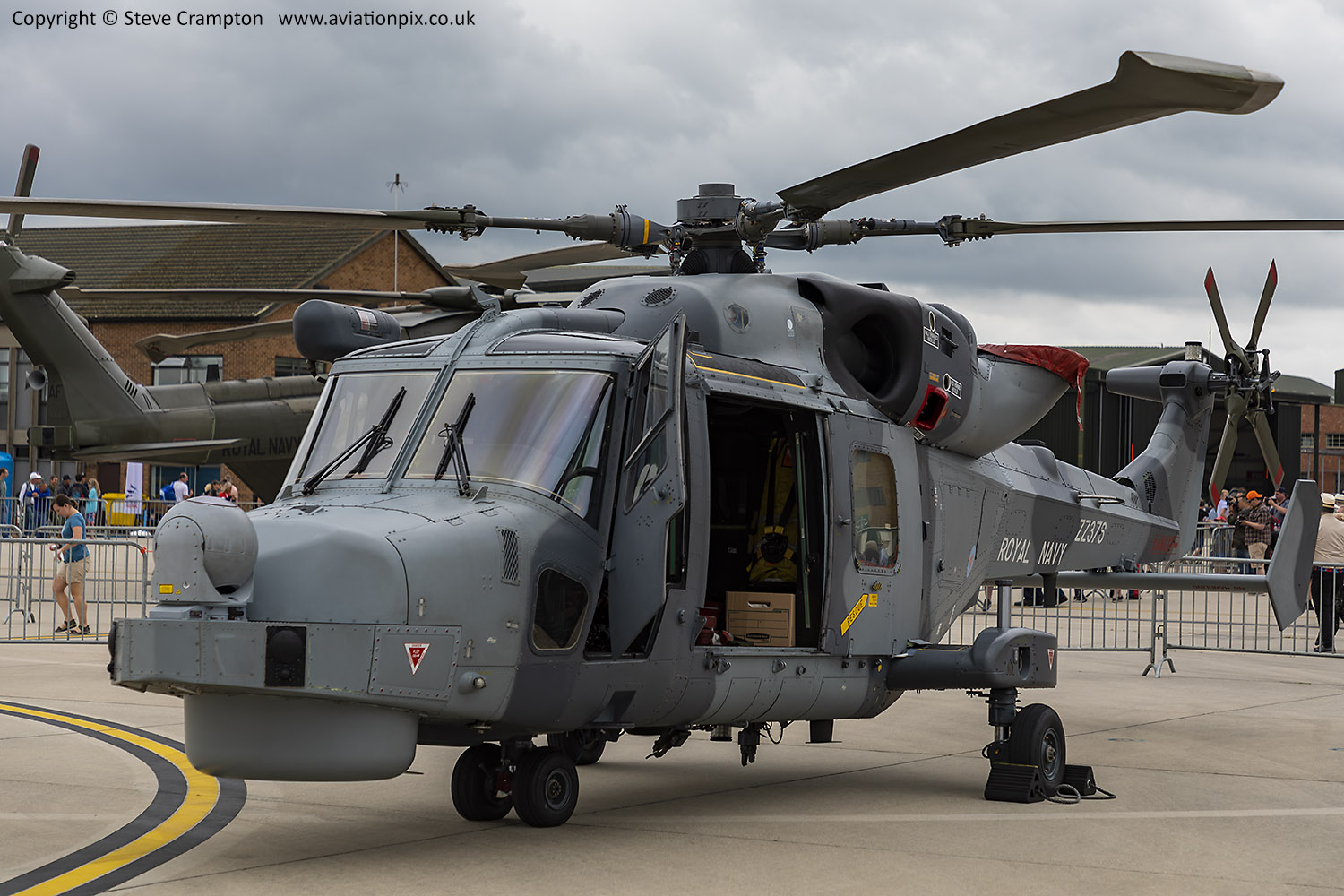 Wildcat