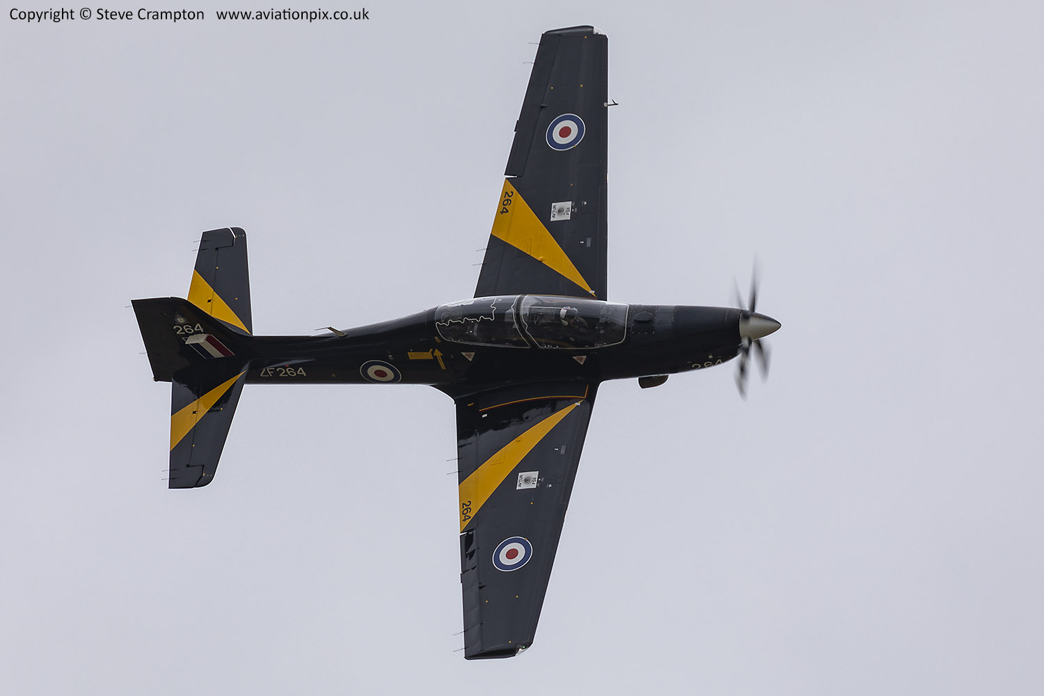 Shorts Tucano